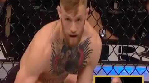 UFC 303 Fight Night Preview
