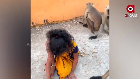Young Girl Fearlessly Plays with Monkey, Video goes Viral