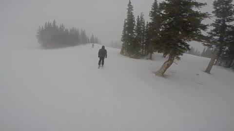 Snow windy ski through trees fail