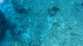 Cozumel trip - Cruise 2015