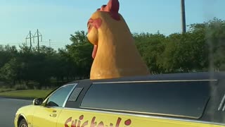 Cluckin' Chicken Limo Styles down Florida Interstate