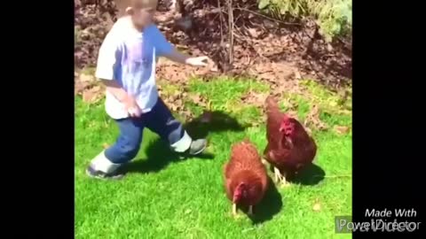 Funny chickens and roosters Chasing kids and adults funny