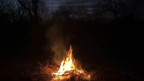 Campfire by a stream with sounds of nature