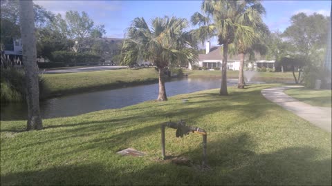 1980 Westminster Cir, #4 Vero Beach FL 32966