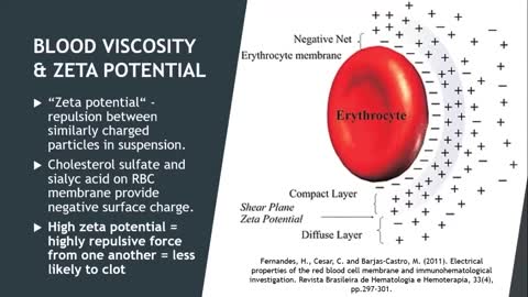 Sulfation, EZ Water & Red Blood Cells: Maintaining Blood Flow