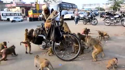 Incredible India or Kind man from Jaipur