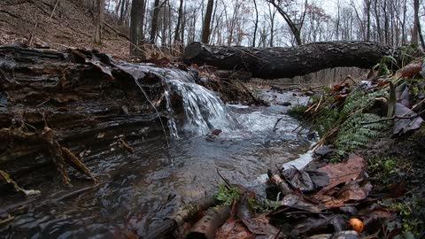 Small Natural Waterfall 2_28_2021