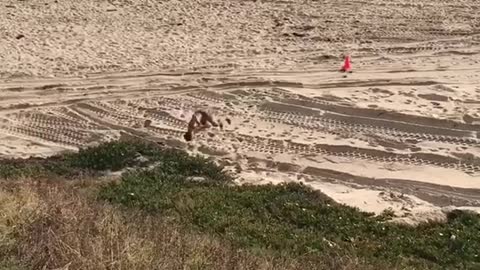 Guy running in the sand and doing a flip and then falling