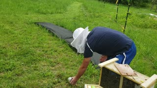 Sticky Bees Are NOT Happy Bees!!! | Honeybee Installation Day!