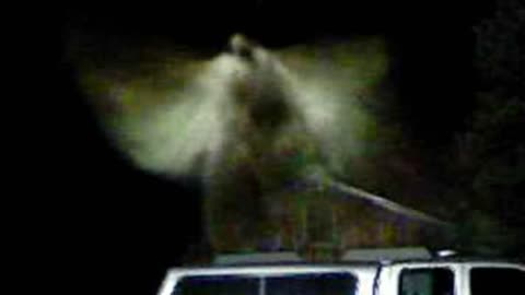 "Angel Caught in Michigan city"