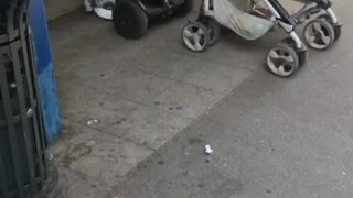 Smart Mom Using a Segway to Push Baby Stroller