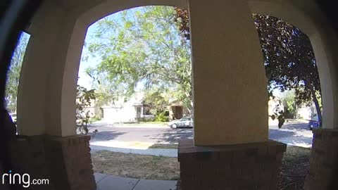 Playing dog sounds through Ring doorbell to get cat off porch