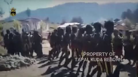 LATEST NEWS - OLD COFFEE HELUKA THREATS THE FATE OF KKB IN PAPUA - HORSEHOUSE REBORN
