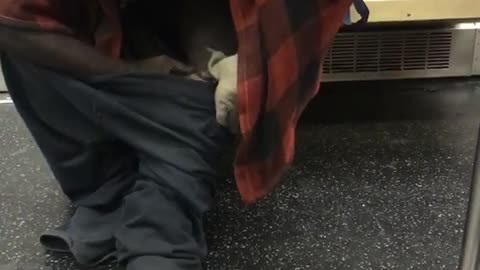 Man pulls down pants and checks leg on subway train