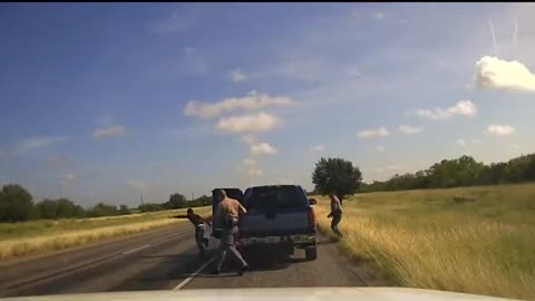 Cockroach gets smashed on freeway