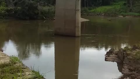 20.4.2024 Barron River, Kuranda