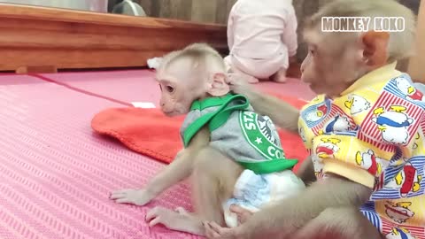 TNTL! Pure Little Baby Monkey Judy Doubt Herself In Mirror | Baby Judy First Experience in Mirror