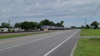 Amtrak Silver Star absolutely smoking great horn show when i gave him a highball