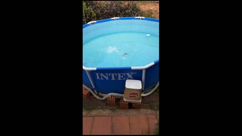 Funny video of how the pool was with greenish water