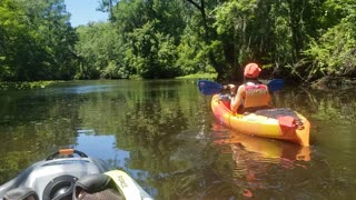 Kayaks on Julington creek