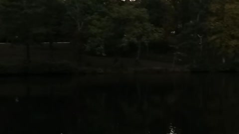 Cumberland Mountain State Park Bridge