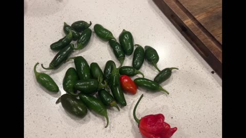 Cooking with Chef Steve: Growing My Own Hot Peppers for Salsa