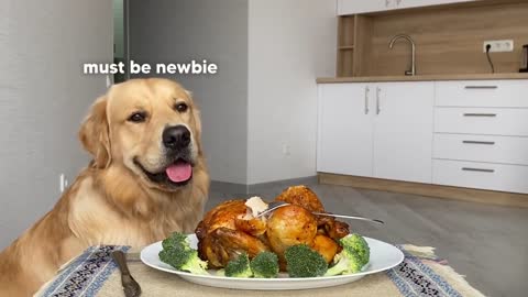 Leaving cat and dog alone with whole chicken