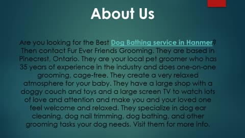 Best Dog Bathing Service in Hanmer