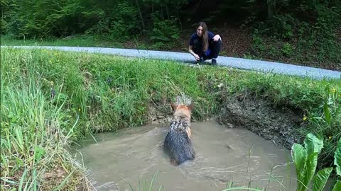 The woman is feeding her dog