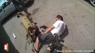 Crook Pays the ULTIMATE PRICE for Pointing Pistol at K9 Officer's Head