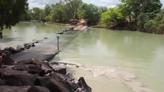 Crocodile Charges Fisherman and Steals His Fish