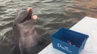 Pax the Dolphin Recycles Right!