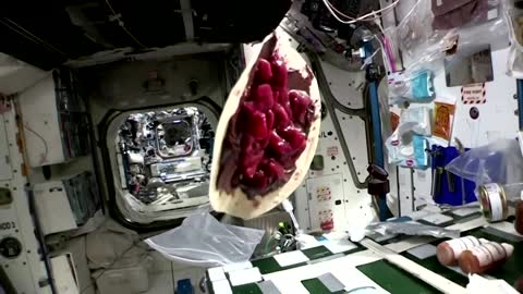 French astronaut serves up strawberry 'crêpe' in space