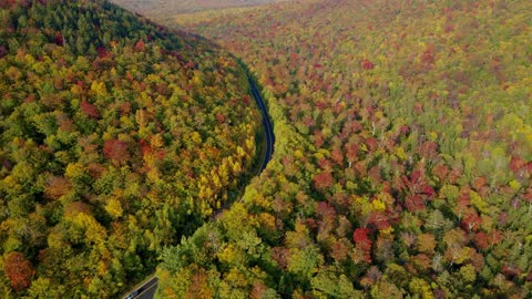 Autumn with amazing colors