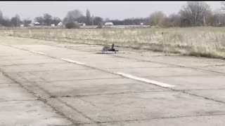 🦅🇺🇦 Testing of the "BULLET" reactive UAV, which will be able to intercept