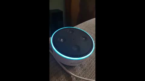 Alexa Spills Government Secret On Chemtrails