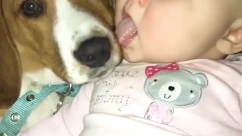 Cute Baby and Dog Lick Each Other in the Mouth So Adorable