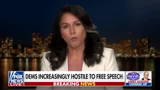 Tulsi Gabbard slams Disinformation Governance Board as Biden's 'propaganda arm'