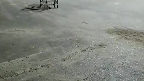 Shopping Cart Hole in One