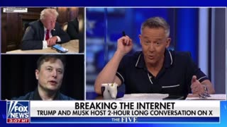 Gutfeld nails it