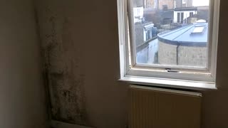 LONDON UK HOMES Suffering from BLACK TOXIC MOULD!
