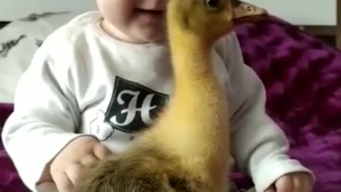 Cute baby with goose