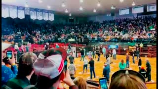 Bull Tosses Contestants During Cowboy Pinball