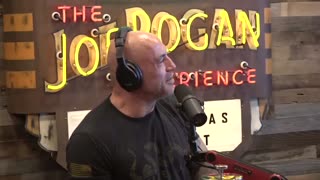 Joe Rogan - Kurt Metzger and The P. Diddy/Vince McMahon Scandals