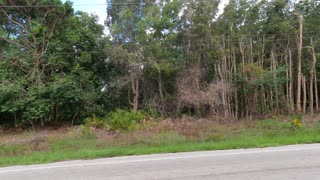 (00329) Part One (D) - Bokeelia, Florida. Sightseeing America!