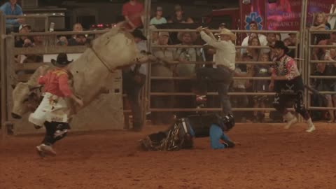 A man riding a bull.Deadly movements..