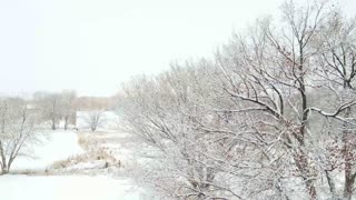 Snow Day Delta Colorado