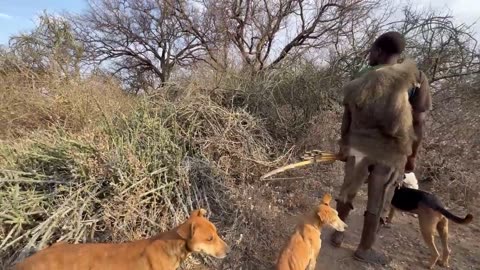 Hadzabe Tribe | How They Catch And COOK their PREY