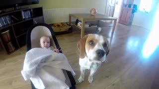 Perro cubre adorablemente a un bebé con una manta