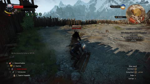 Witcher 3 - Master of the Arena Quest Walkthrough